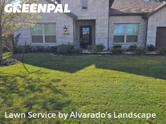 Grass Cutin Porter,77365,Lawn Mowing Service by Alvarado's Landscape, work completed in Nov , 2025