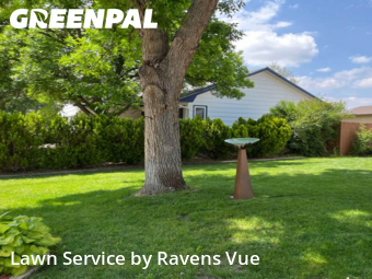 Yard Mowing nearby Loveland, CO, 