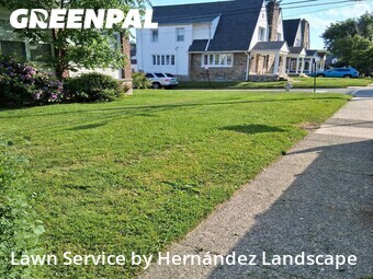 Lawn Cut nearby Lansdowne, PA, 