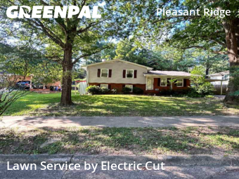 Yard Cutting nearby Raleigh, NC, 