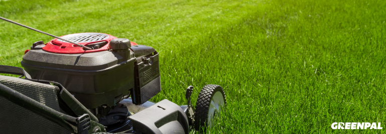 Weekly vs. Biweekly Lawn Service: When Do Pros Make the Switch?