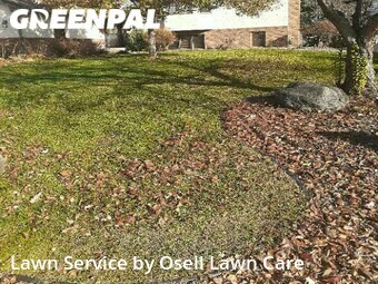 Grass Cut nearby Plymouth, MN, 