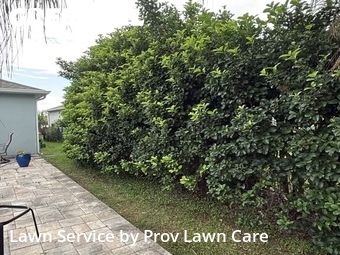 Grass Cutting nearby Orlando, FL, 