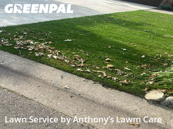 Lawn Service nearby Apple Valley, MN, 