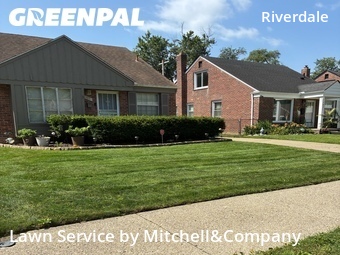 Lawn Care nearby Detroit, MI, 