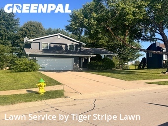 Lawn Mow nearby Papillion, NE, 