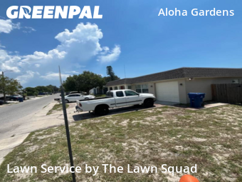 Lawn Care nearby Holiday, FL, 
