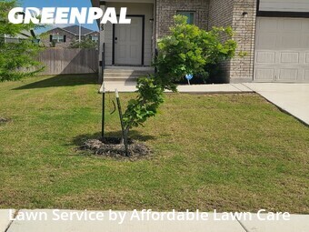 Lawn Mowing Service nearby Cibolo, TX, 