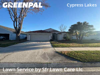 Lawn Cutin Oldsmar,34677,Yard Mowing by Sfr Lawn Care Llc, work completed in Jun , 2026