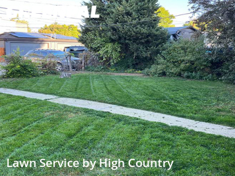 Lawn Mowing nearby Denver, CO, 