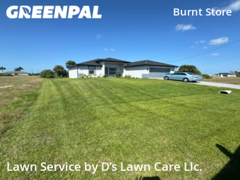 Lawn Cutting nearby Cape Coral, FL, 