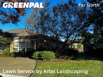 Landscaping Maintenance In Dallas,75287,Landscape Design by Alfas Landscaping, work completed in Dec , 2025