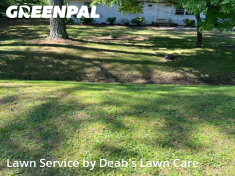 Lawn Mowing Service nearby Browns Summit, NC, 