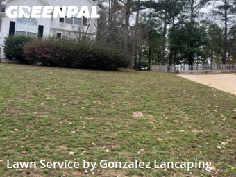 Lawn Mowing Service nearby Woodstock, GA, 