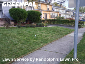 Grass Cutting nearby Maplewood, NY, 
