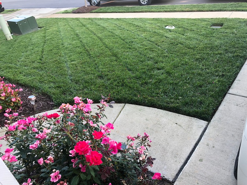 Dominion Lc Tx Lawn Care Services in Indian Trail, TX