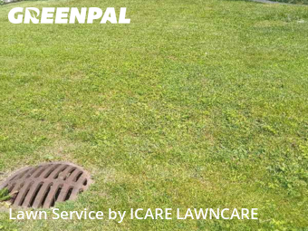 Lawn Cut nearby Southfield, MI, 