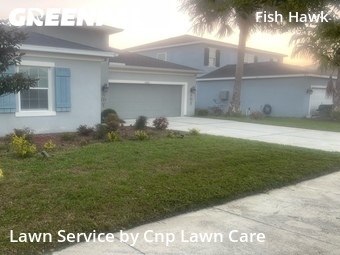 Lawn mowed in Fish Hawk, 33547