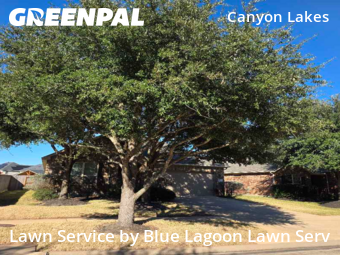 Lawn Maintenancein Cypress,77433,Yard Mowing by Blue Lagoon Lawn Serv, work completed in Feb , 2026