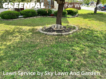 Grass Cut nearby San Antonio, TX, 