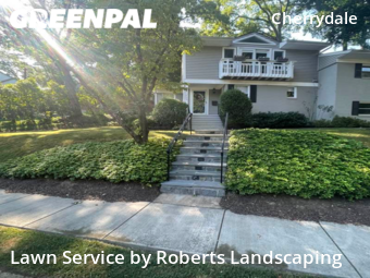 Lawn Cut nearby Arlington, VA, 