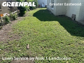 Lawn Care Service nearby Houston, TX, 