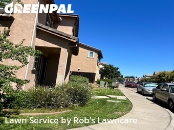 Grass Cutting nearby Folsom, CA, 