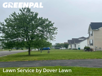 Lawn Cut nearby Felton, DE, 