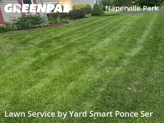 Lawn Mowing Service nearby Naperville, IL, 