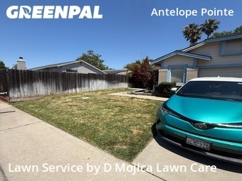 Yard Mowing nearby Antelope, CA, 