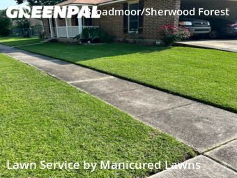 Grass Cutting nearby Baton Rouge, LA, 