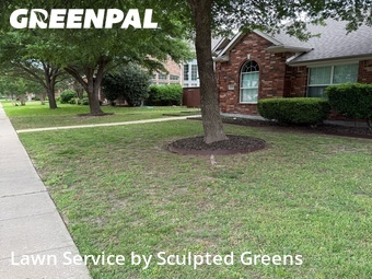 Yard Mowing nearby Allen, TX, 