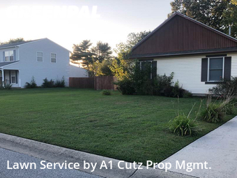 Lawn Care nearby Dover, DE, 