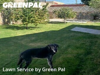 Lawn Mowing Service nearby El Paso, TX, 