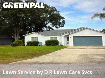 Yard Care Services in Palm Coast, 32164, Yard Work by D R Lawn Care Svcs, work completed in Nov , 2025