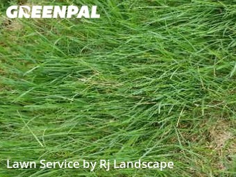 Lawn Care Service nearby Oakdale, PA, 