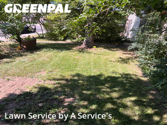 Yard Cutting nearby Greeley, CO, 