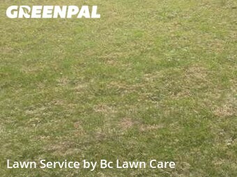Lawn Mow nearby Raleigh, NC, 