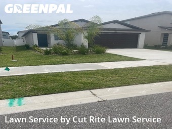 Yard Mowing nearby Spring Hill, FL, 