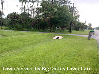 Grass Cutting nearby Naples, FL, 