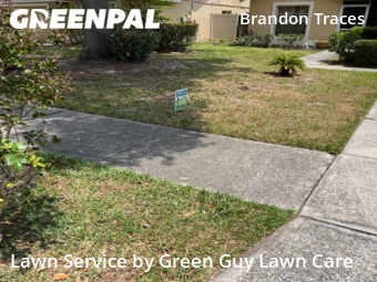 Lawn Care nearby Brandon, FL, 