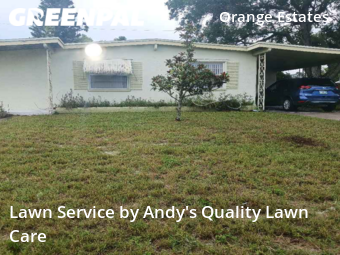 Grass Cutin St Petersburg,33708,Lawn Service by Andy's Quality Lawn Care, work completed in Feb , 2026