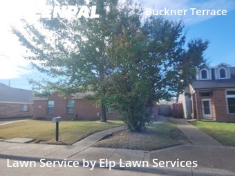 Lawn Mowing Service nearby Dallas, TX, 