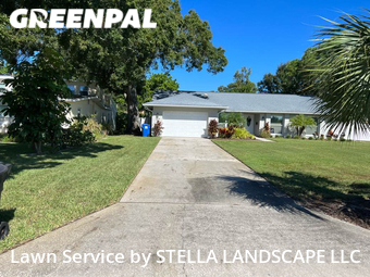 Grass Cut nearby St. Petersburg, FL, 