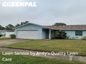 Lawn Cutin Largo,33774,Lawn Care Service by Andy's Quality Lawn Care, work completed in Dec , 2025