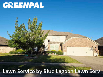 Lawn Maintenancein Katy,77494,Lawn Cutting by Blue Lagoon Lawn Serv, work completed in Nov , 2025