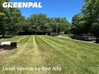 Lawn Mow nearby Accokeek, MD, 