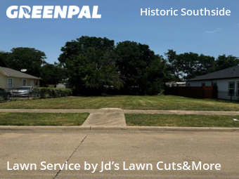 Grass Cut nearby Fort Worth, TX, 