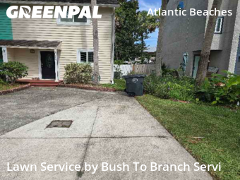 Lawn Carein Atlantic Beach,32233,Lawn Care Service by Bush To Branch Servi, work completed in Nov , 2025
