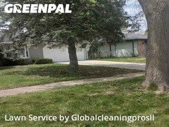 Lawn Mowing Service nearby Matteson, IL, 